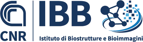 Consiglio Nazionale delle Ricerche (CNR)